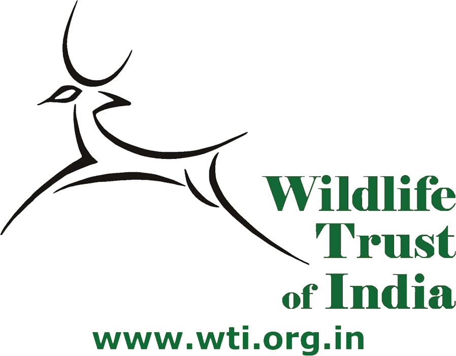 Wildlife Conservation, Initiatives