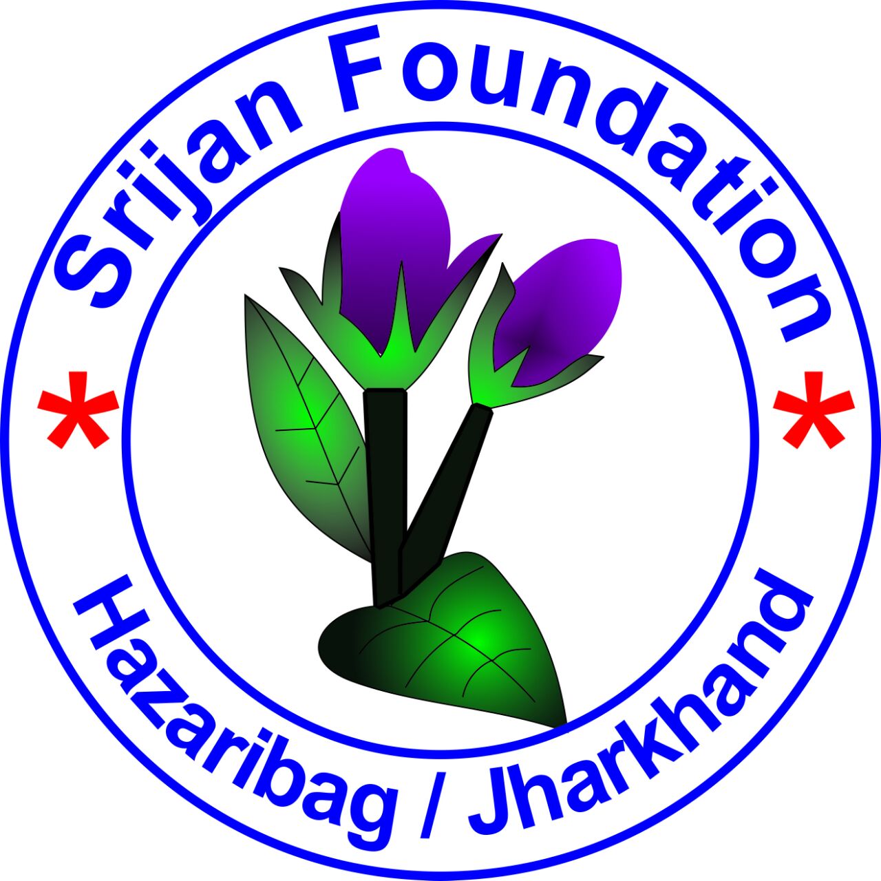 Srijan Foundation