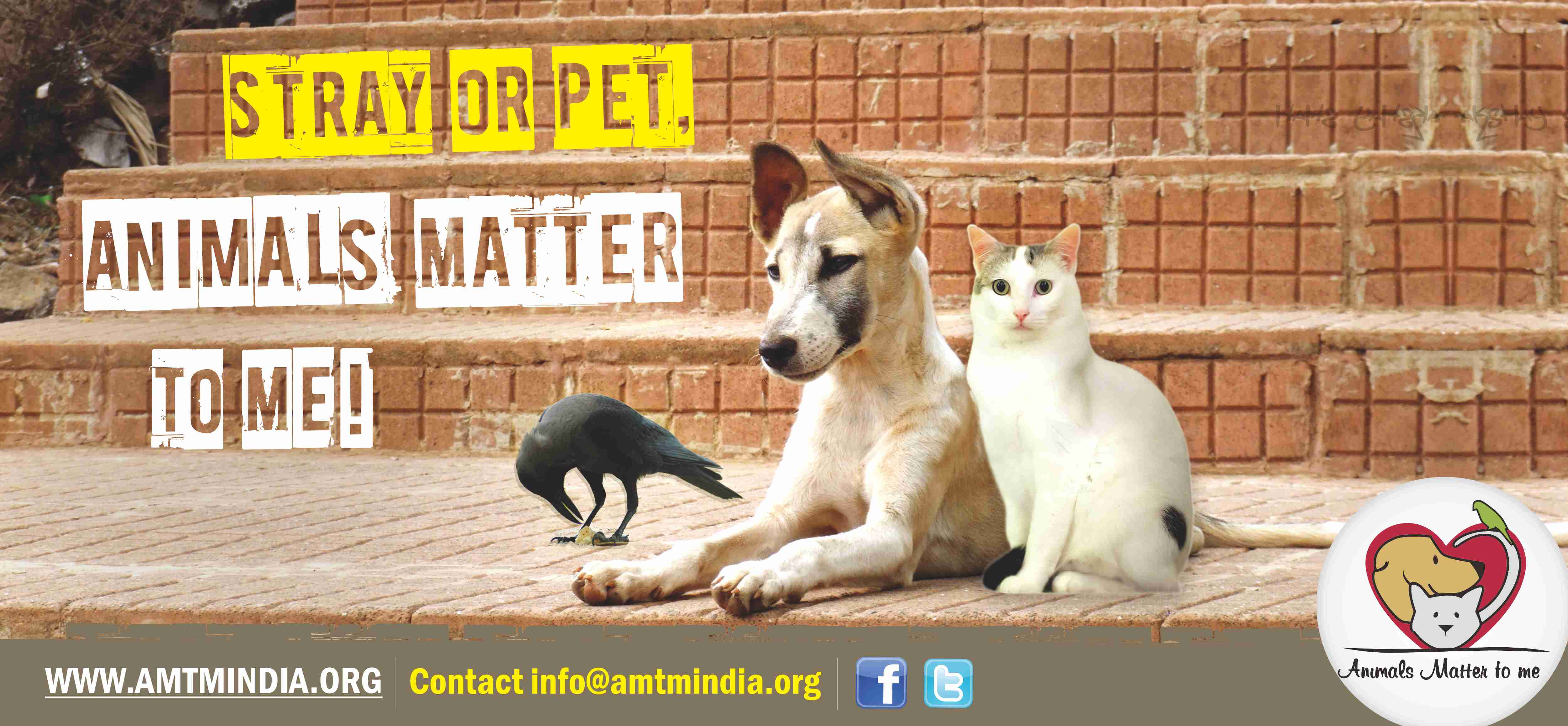 About Animals Matter To Me | ProjectHeena