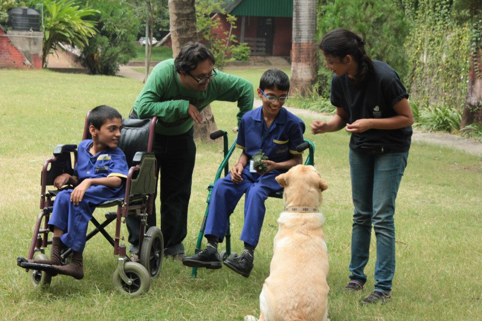 About Animal Angels Foundation | ProjectHeena