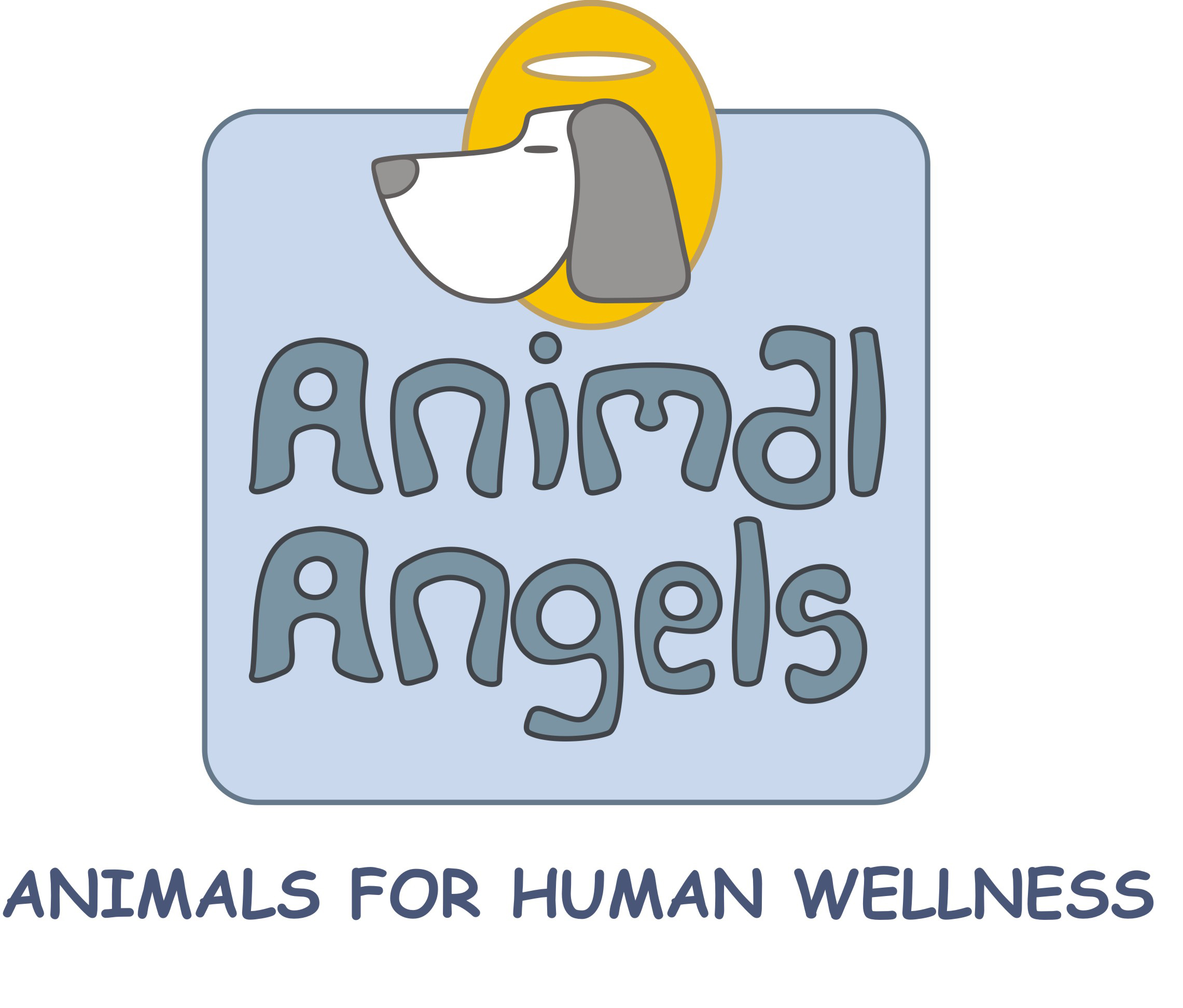 About Animal Angels Foundation | ProjectHeena