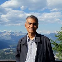 Shakti Saran