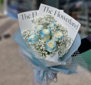 Theflower Land